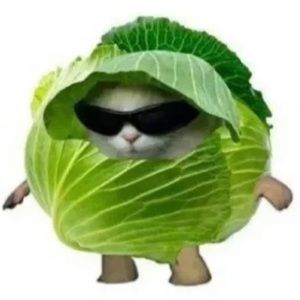 Meet your Posher, Judy